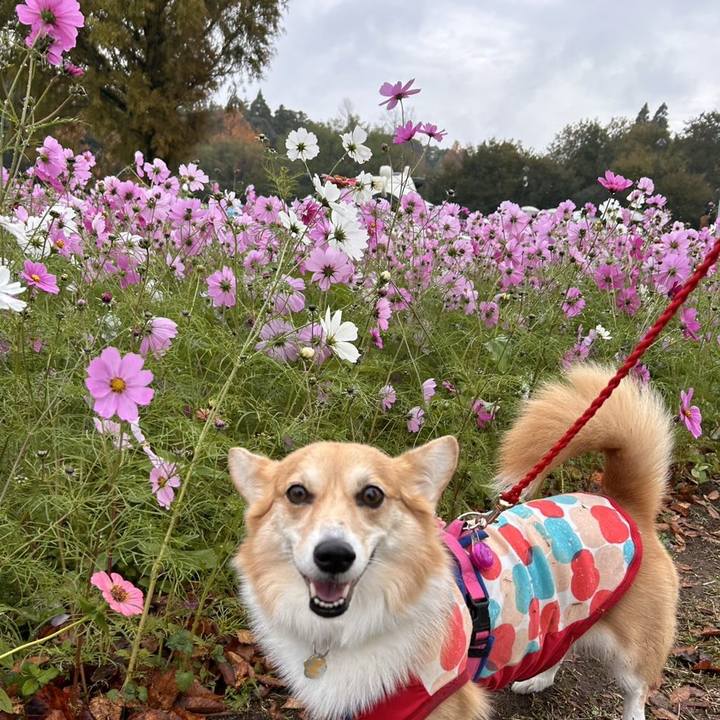 F1348ddf 49b3 4b00 8f4d e07f4ec64e34 1762694057528