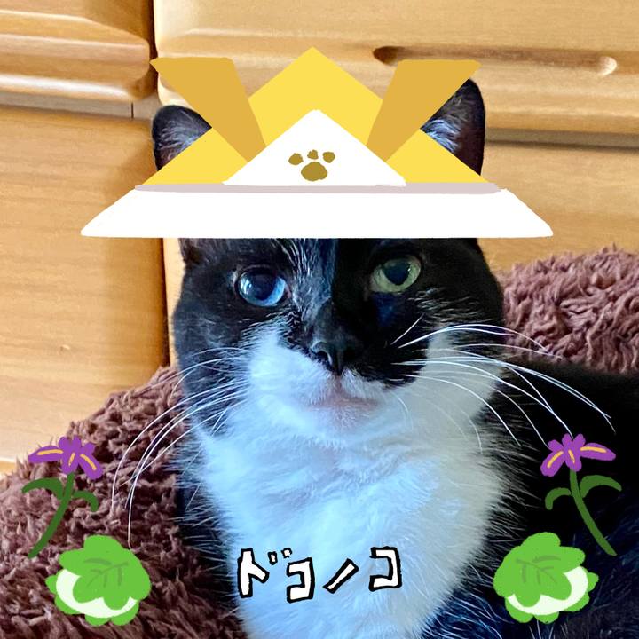 F134947c a1c8 4163 a6a7 9a03a1dc6137 1715089939902