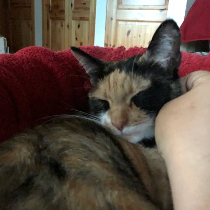 F134b103 ca1d 47a5 9576 9cac94567342 1526199165427