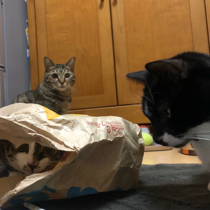 F134e28b 470c 4fc6 8030 87aad5defee3 1603120063619