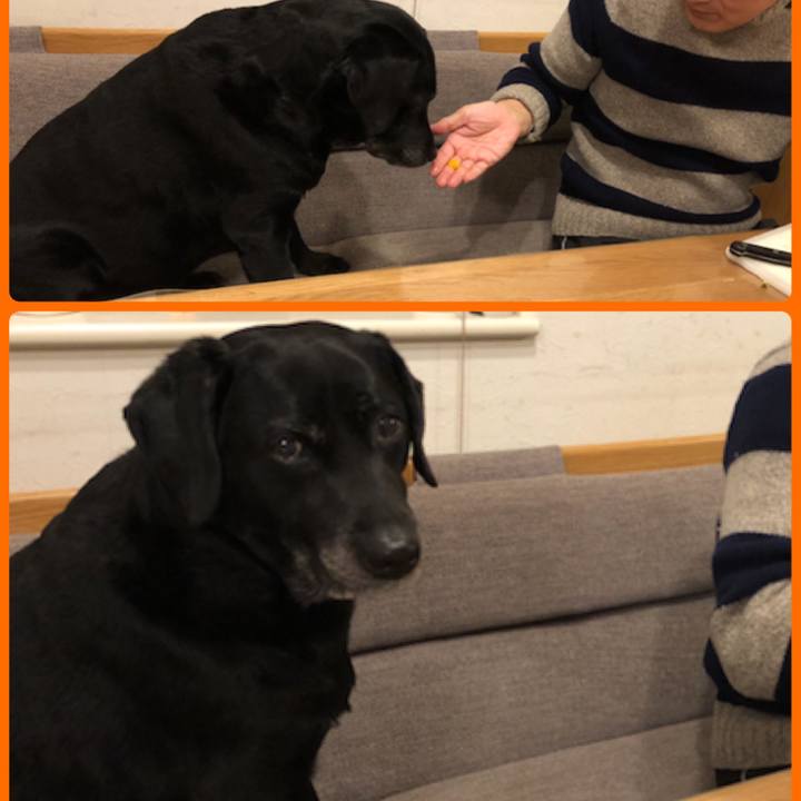 F134f5ac 82eb 4b20 b6a9 e08ae314bca7 1547995175610