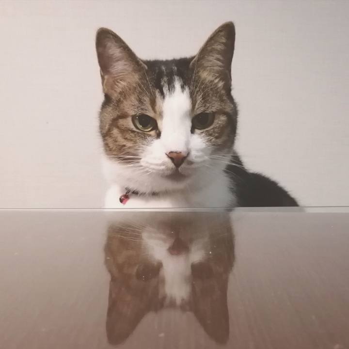 F135057f 8c98 41d6 9614 fbbee30c18ec 1633683689533