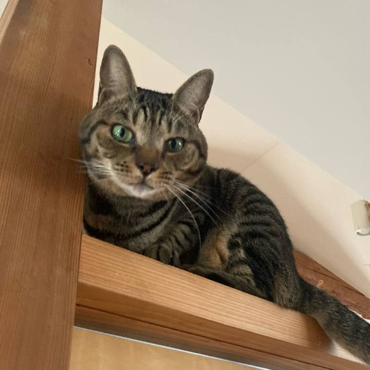 F1350b24 dc03 49b1 8d74 720c1339d3f4 1765970845201