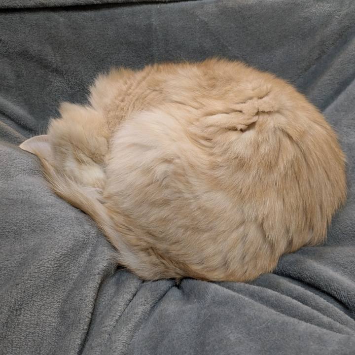 F1350b41 bff9 4ee9 80f8 532e8d742a00 1767444920912