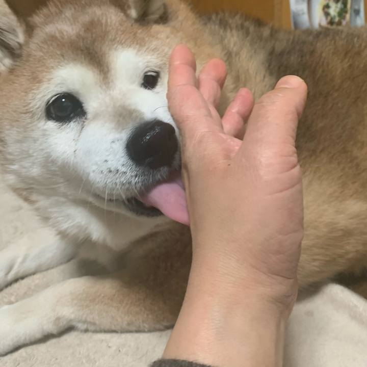 F13510a9 aef0 4f48 9767 5aaa8293ebbb 1613647057389