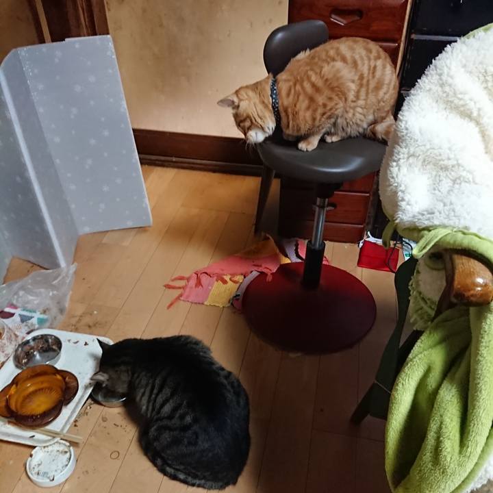 F135685a 6b57 44a8 b35c 7fc0c51fa1e9 1638964568468