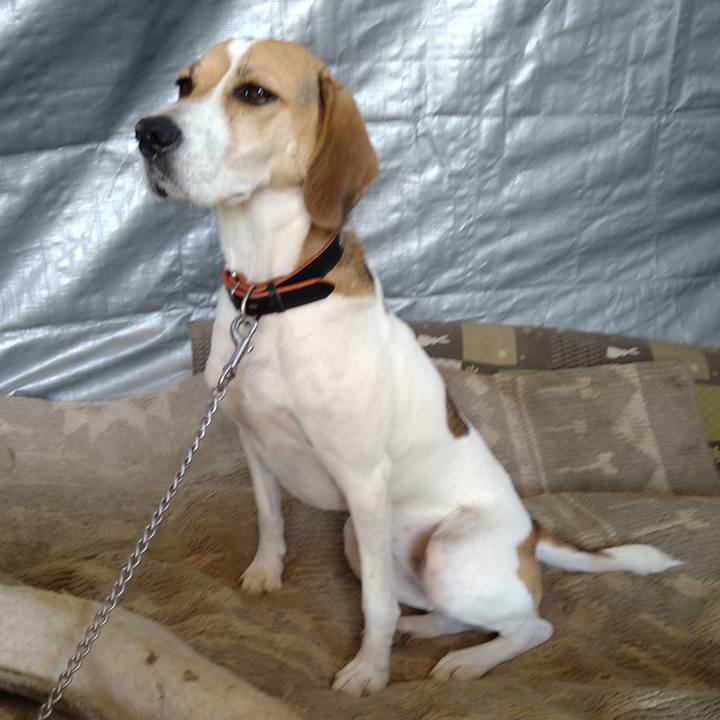 F1356fb6 9ab9 46a8 ac05 029aca14d4da 1631248893991