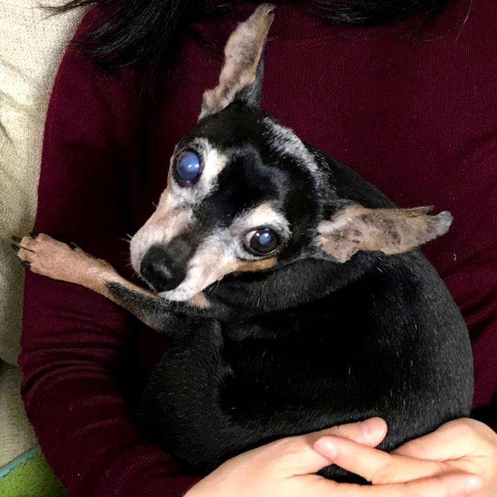 F135c7ed 23b2 44ab acab f39c5129b062 1578840613871