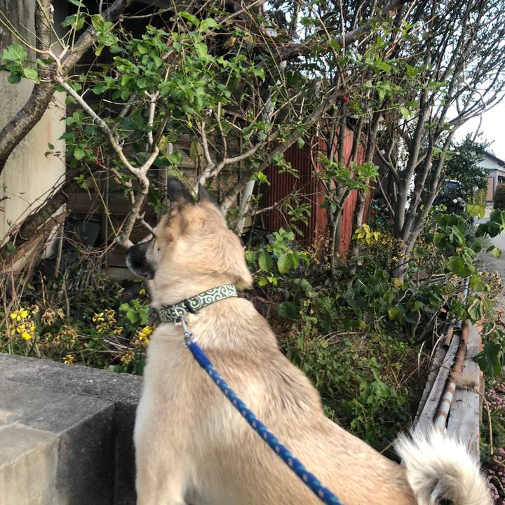 F135c878 7896 4745 9983 064e0c38abc9 1607081474704