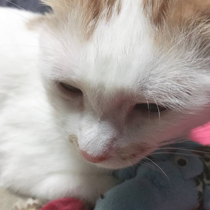 F135caca a4fd 4dcb b1c0 97382b0ffae6 1568545541290