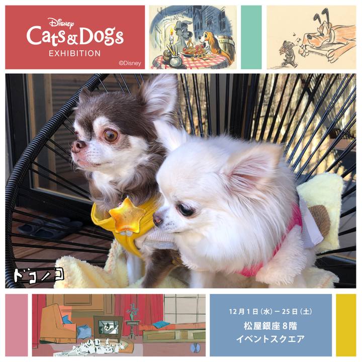 F13600ed 7bf6 43f1 a88d d9680d63de28 1638442907255