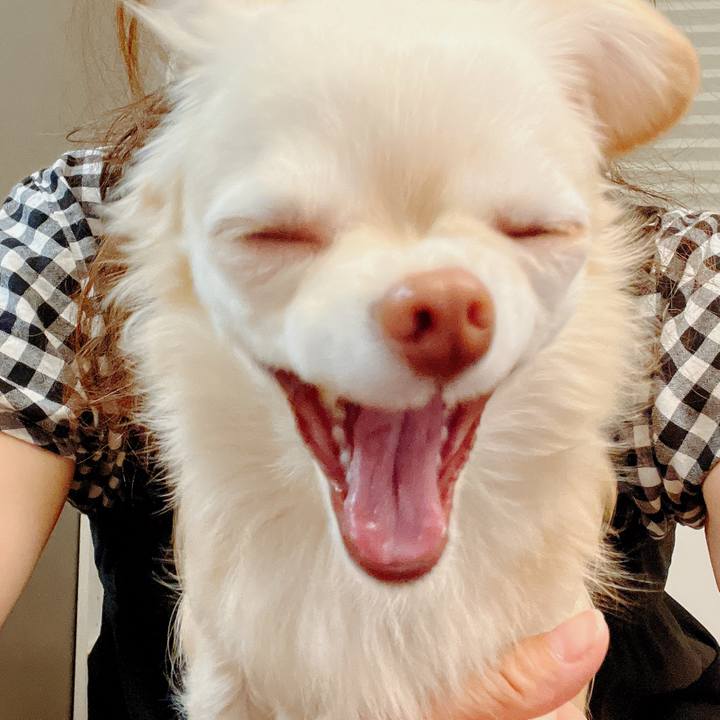 F1360fbd 1bc6 4ef9 8f75 99806285fbba 1684403385256