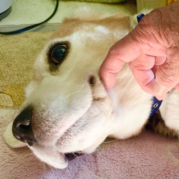 F13622b0 6bc1 4ea7 9cc4 4f86d793f1a4 1612067968097