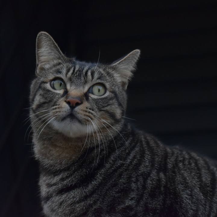 F1363812 4479 491e 9985 95c94ee59d4f 1550376710137