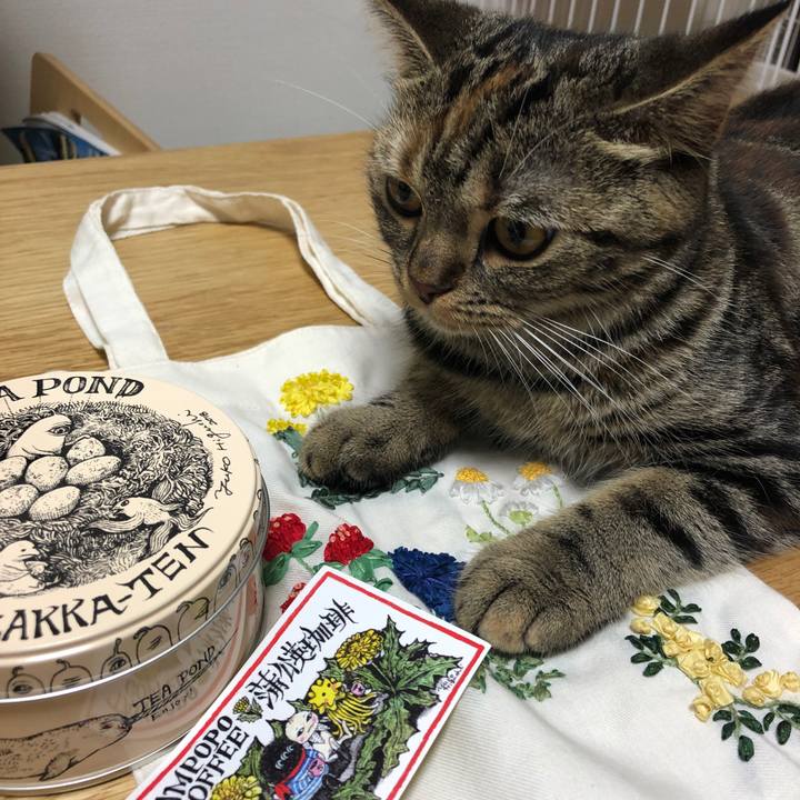 F13649d9 6677 4907 810e 628a053287ac 1595835724399