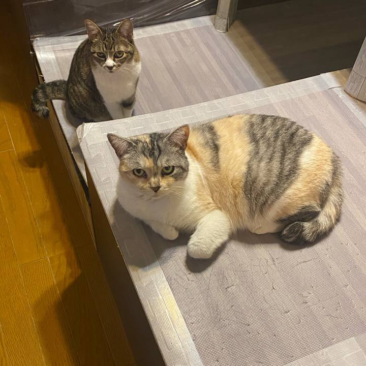 F1364dc1 23e2 4b88 a7d0 4b80928f6c54 1617461205051