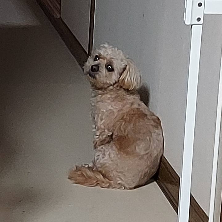 F1369f3f 5021 4497 a88f 73a5a8ff151a 1687518088805