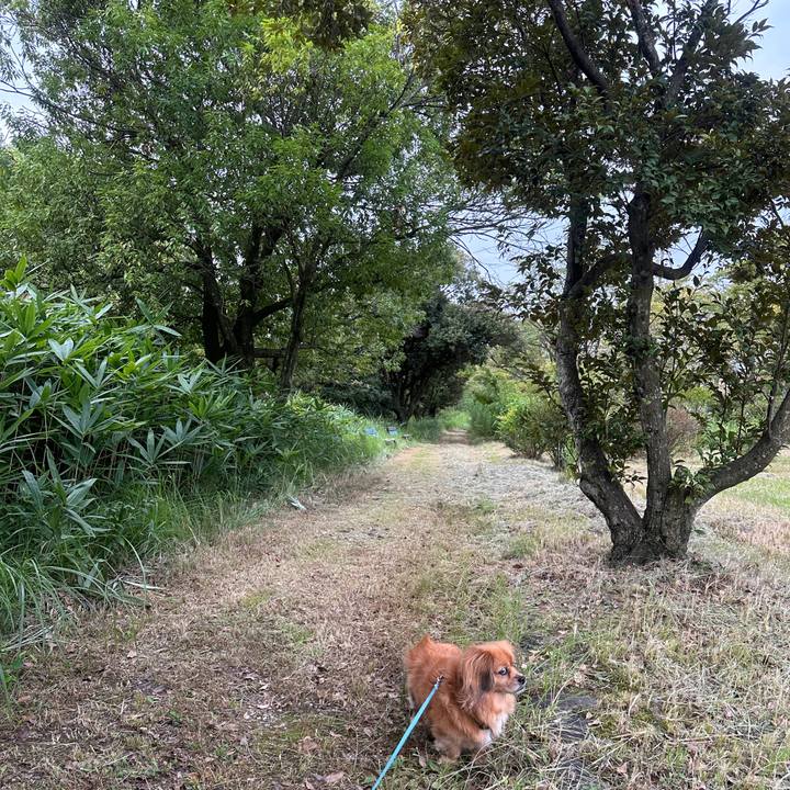 F136b366 7ae3 42cf 8191 3aedc2957f07 1693344745586