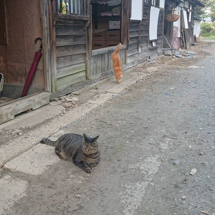 F136b76d 442b 4e3c b311 c841fafc1738 1663057150802