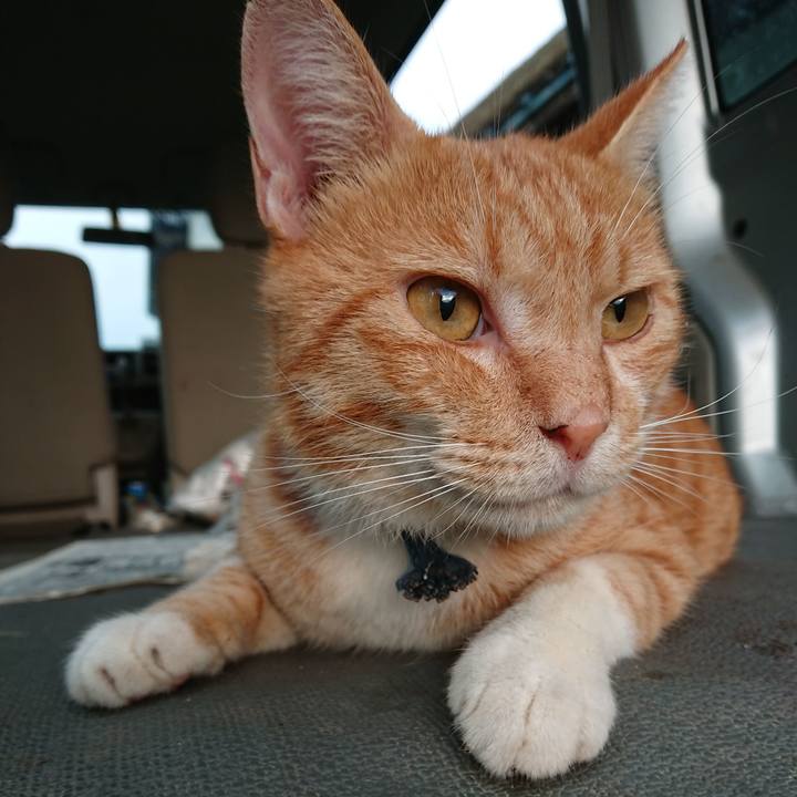 F136e267 9e4f 4fe6 9447 dc8cf23f2e85 1566247685567