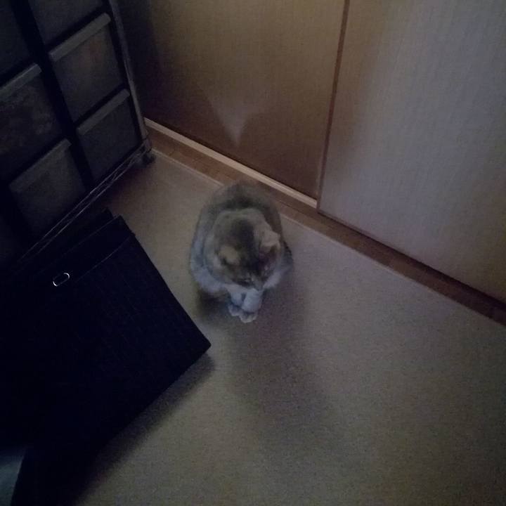 F13730d0 0e76 4ade 9683 4d7a196a40d4 1510880700762