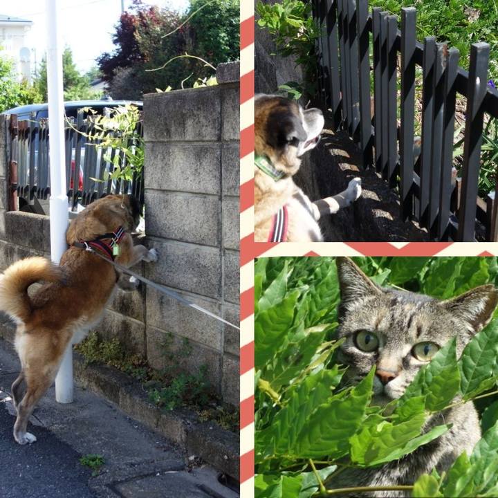 F1376902 2124 42e7 af4d 5a30094e21e1 1525396273250