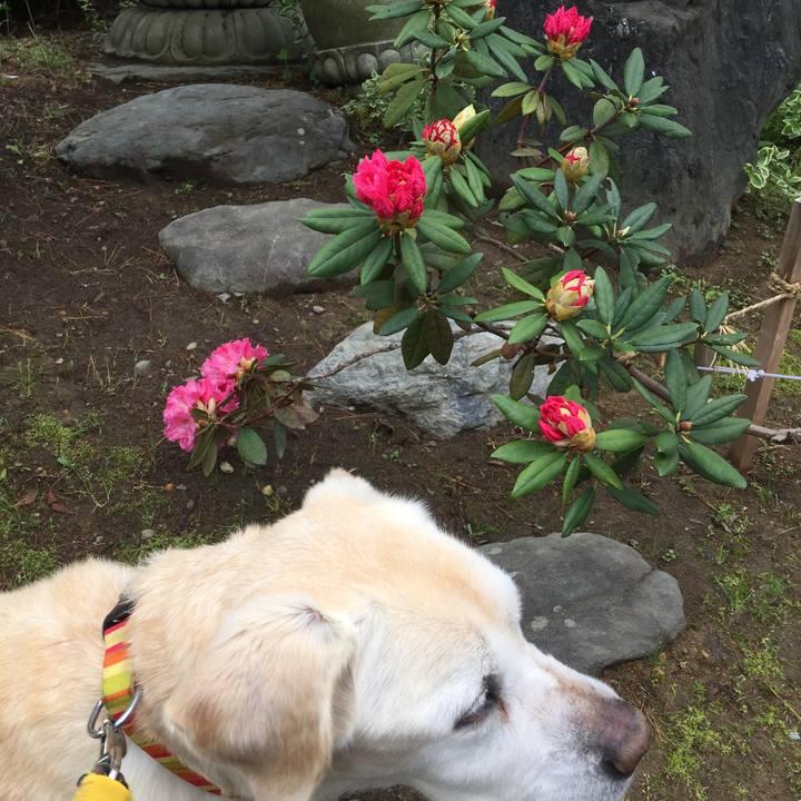 F1376a3c 3c7f 416c b110 4bb6a48dac97 1525845171995