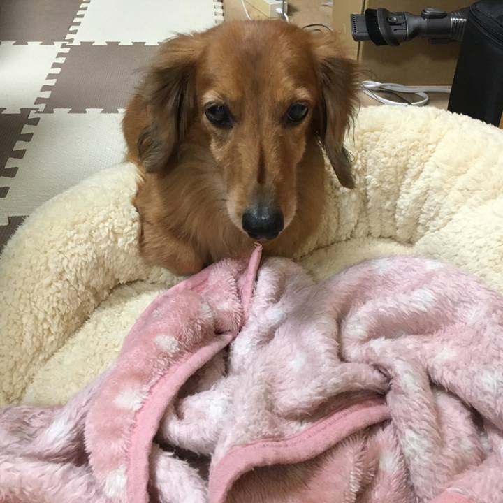 F13777c8 c0a7 4535 a89c 7de48ef765a0 1543671689332