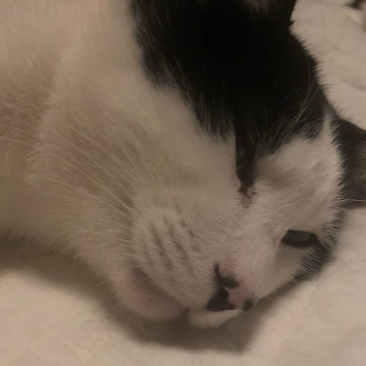 F1378557 27c6 442b a6a8 418e3956680f 1610031008204