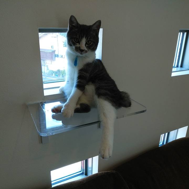 F137e614 a7a5 4ab1 bfa1 e48b0e83cec5 1568947911259