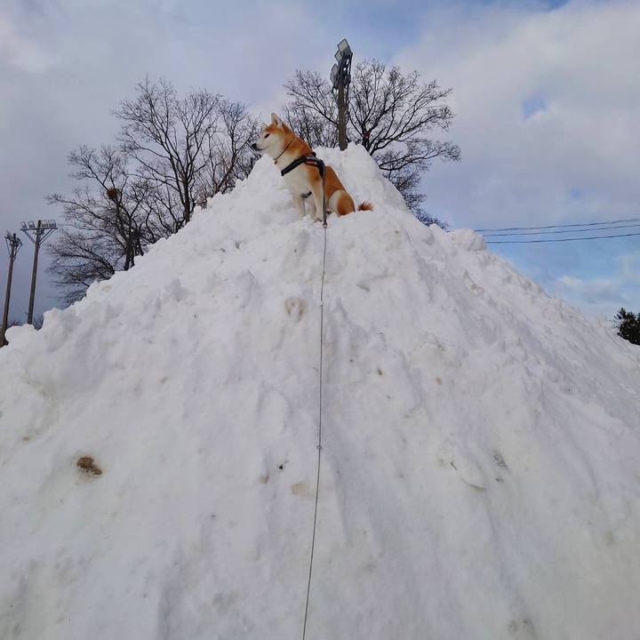 F138314c 8388 453c bd83 57687dd47381 1640581368134