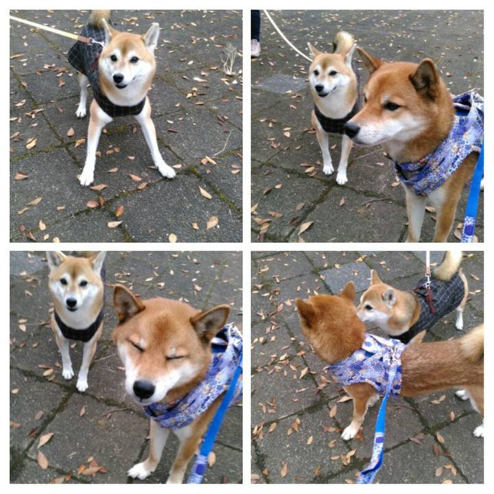 F138426b 4e66 41e7 9057 a3477b40324c 1510103877459