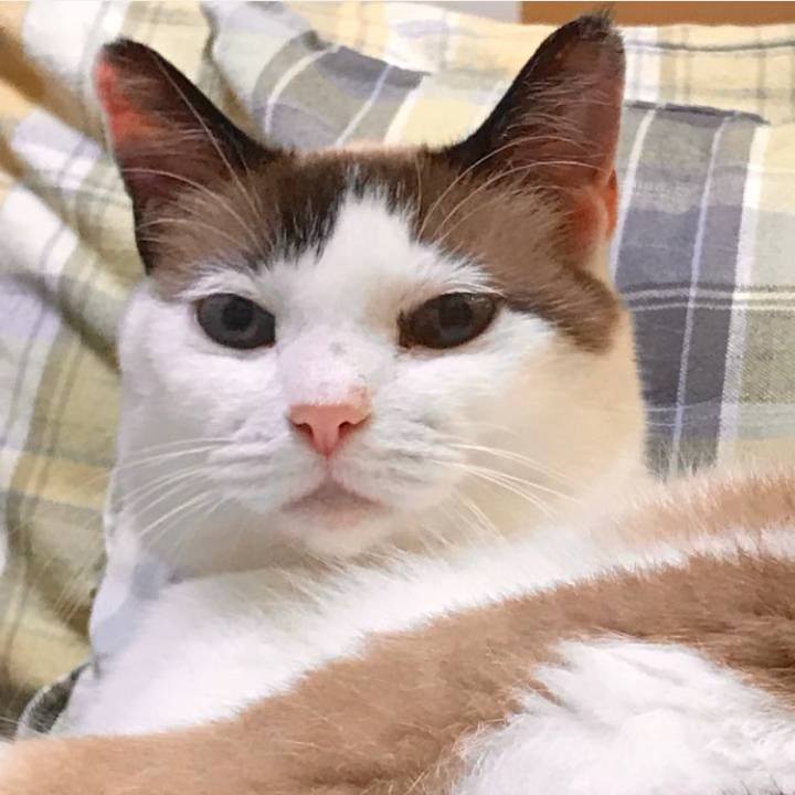 F13867b7 7974 44ad 917a caba48e1d907 1691225342254