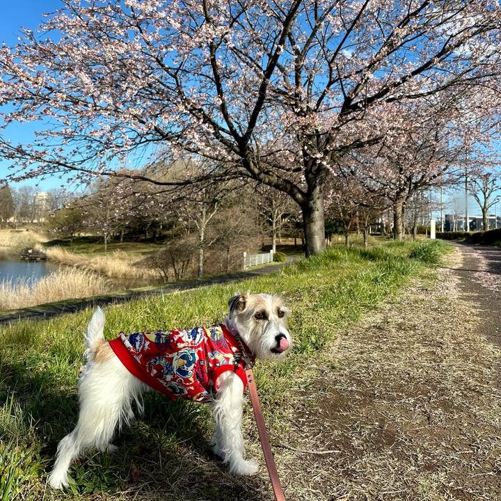 F1386e8f e1f0 4dc7 b1dc 22f0b400f55e 1711524751678