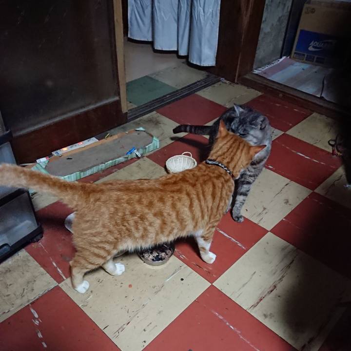 F1387ed9 a798 4794 a77b 753d2fe07a7b 1571516619695