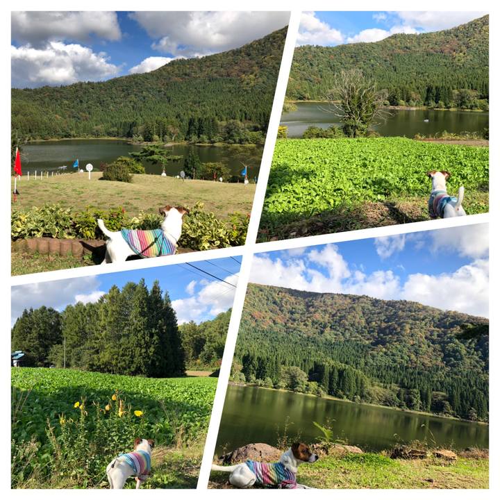 F138846a 4bec 4342 887f c59774fae661 1571821909455