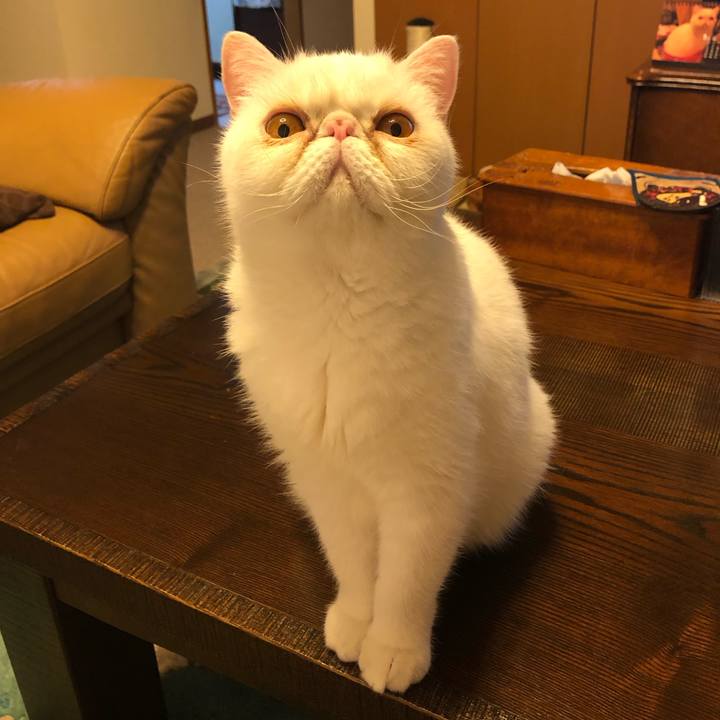 F13892d6 f176 421d 9583 1cb7345c43b2 1685862862723