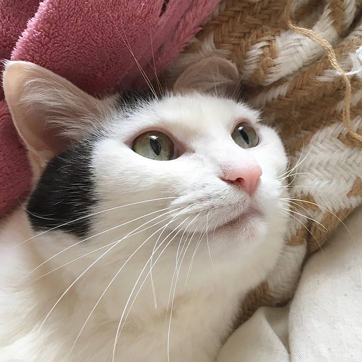 F138eb29 ae96 41e2 8d60 9c95d66ea99b 1583466487423