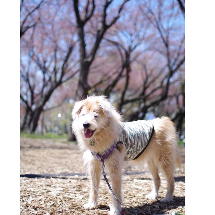 F138fdd1 bd48 4ad4 8ae6 c71f6dc46d67 1555143323909