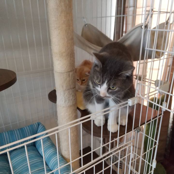 F1390162 7db8 4236 bb97 175caad144ee 1607739603696