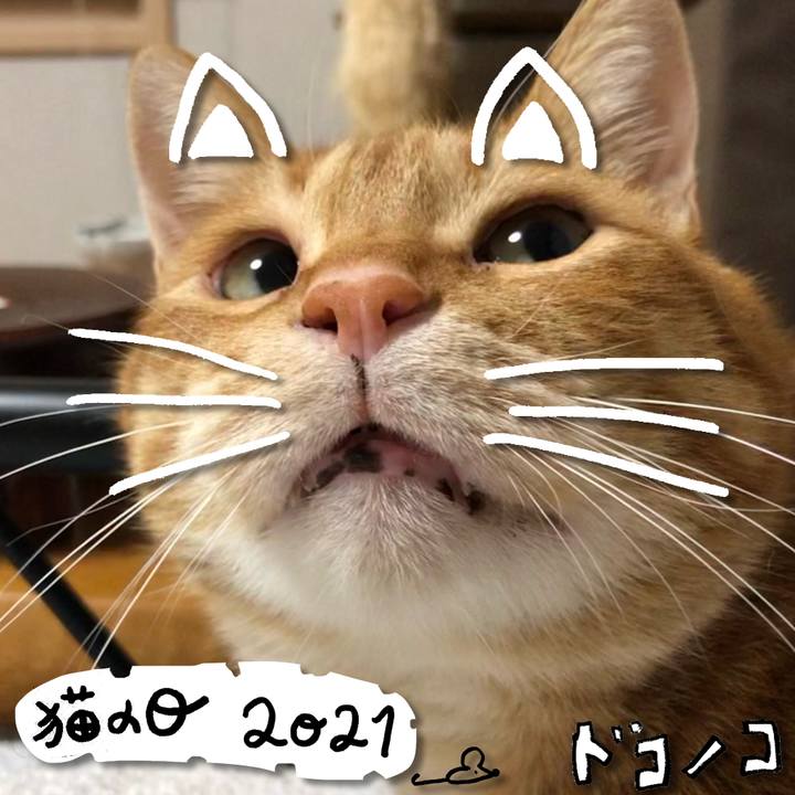 F1390e3f 58ed 4cdf ab57 9f4493093b17 1613997073695