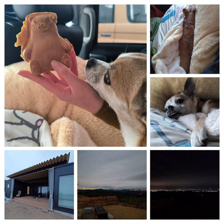 F13925b2 c870 4465 bd45 fc1892c6ad13 1769526080722