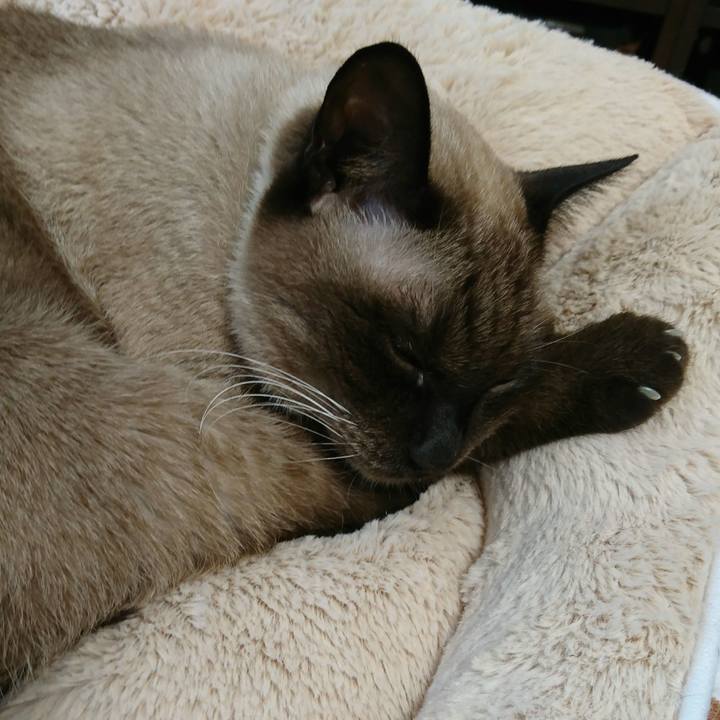 F1392bb0 b45d 4e89 b2d2 09001ec47e5f 1511824153258