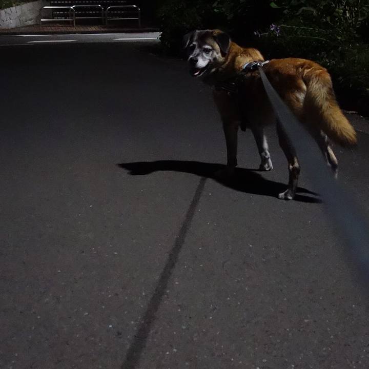 F1395ad6 08b4 4af9 ac4e 9eccb714b847 1678843643578