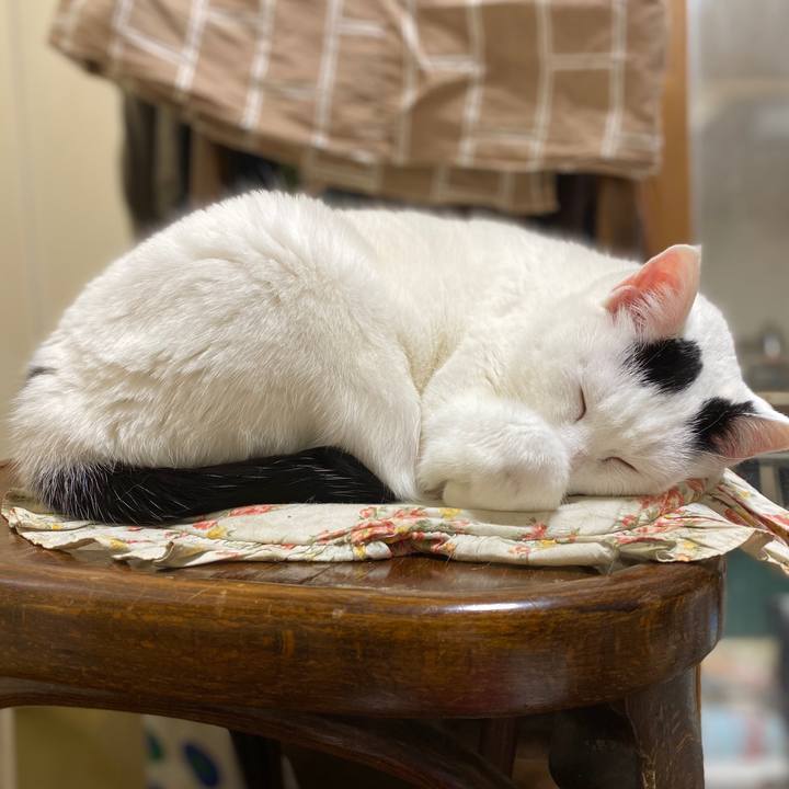 F139aff8 7999 4103 ab3d cb212d4454b3 1578156173673