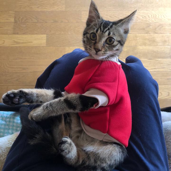 F139b21a 542f 4b64 aa7e 91d15f592426 1729901458400