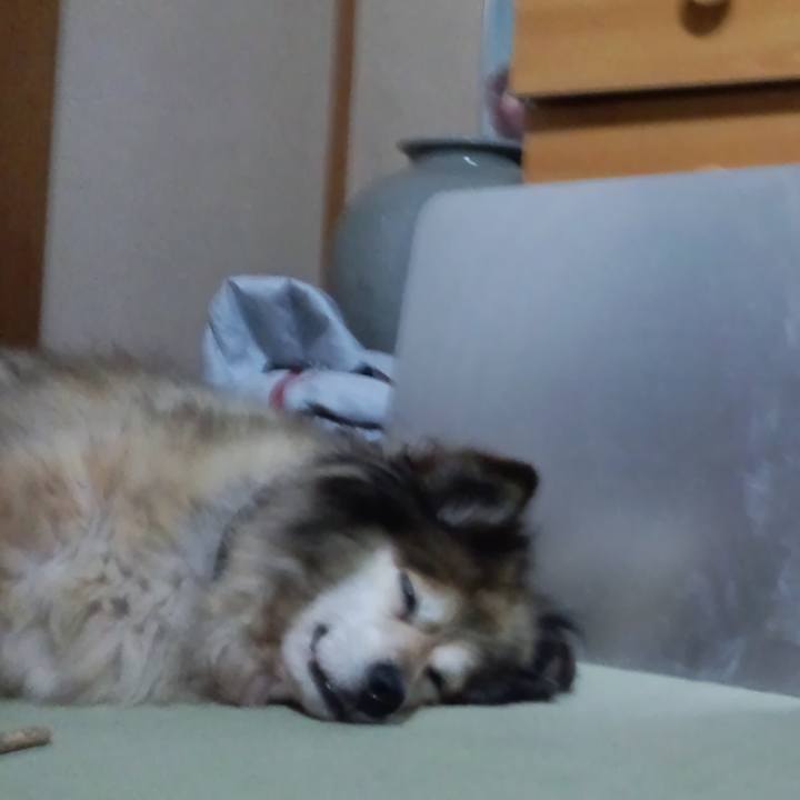 F139d8ed 6949 4b82 aa5e 36d1cdf70b46 1550731047333