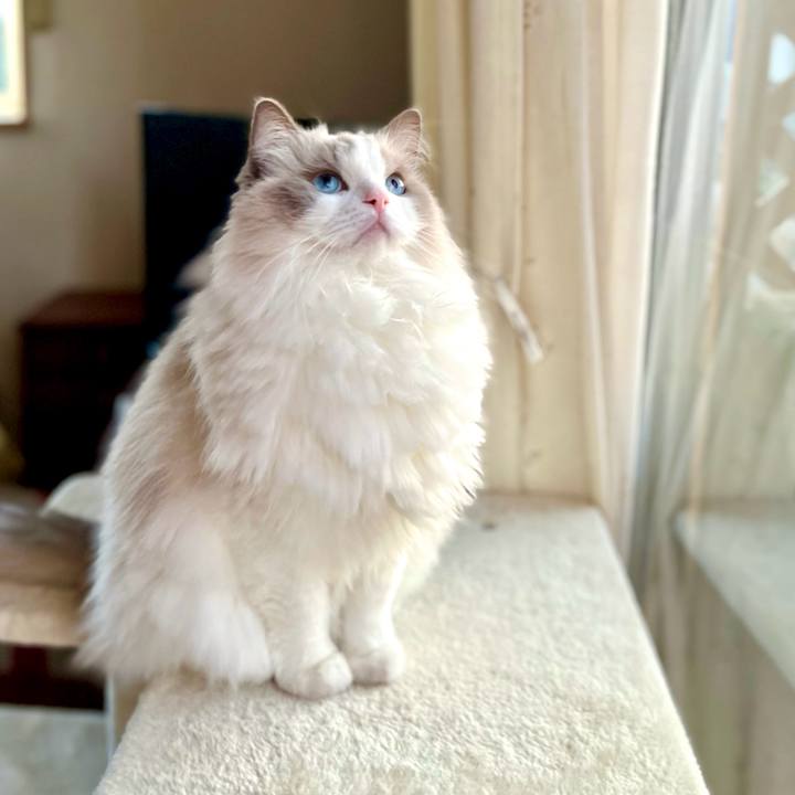 F139e6d2 2d62 4c97 b15d 35d2e6fa2c82 1731266567842