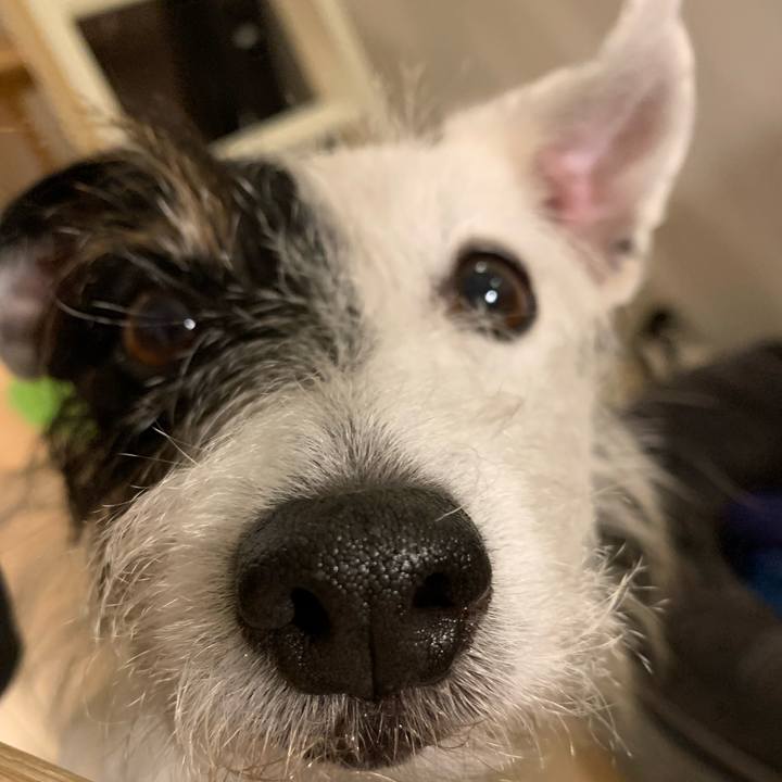 F13a4367 9787 42bf beb2 8924c061be37 1669111334149