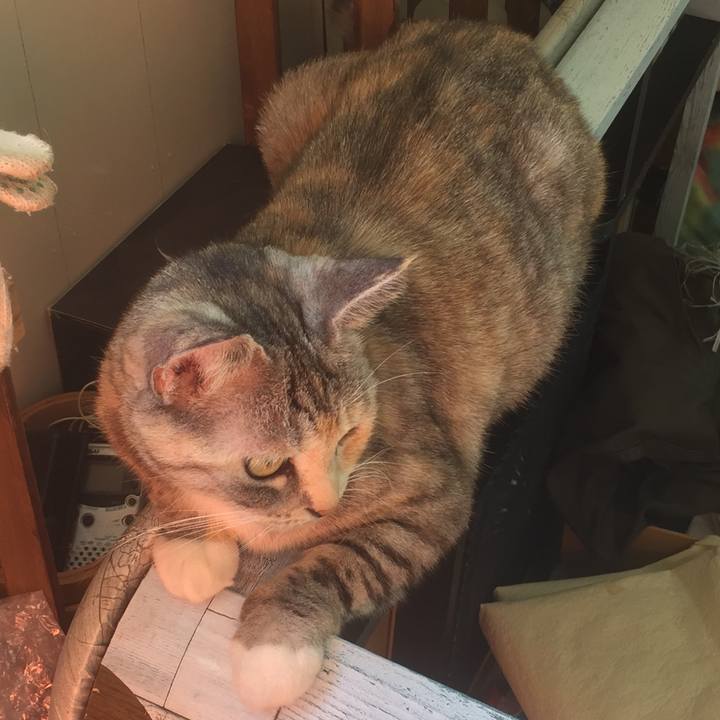 F13a45a9 cfb8 4eba ab7a 569ef44da11e 1574230726440